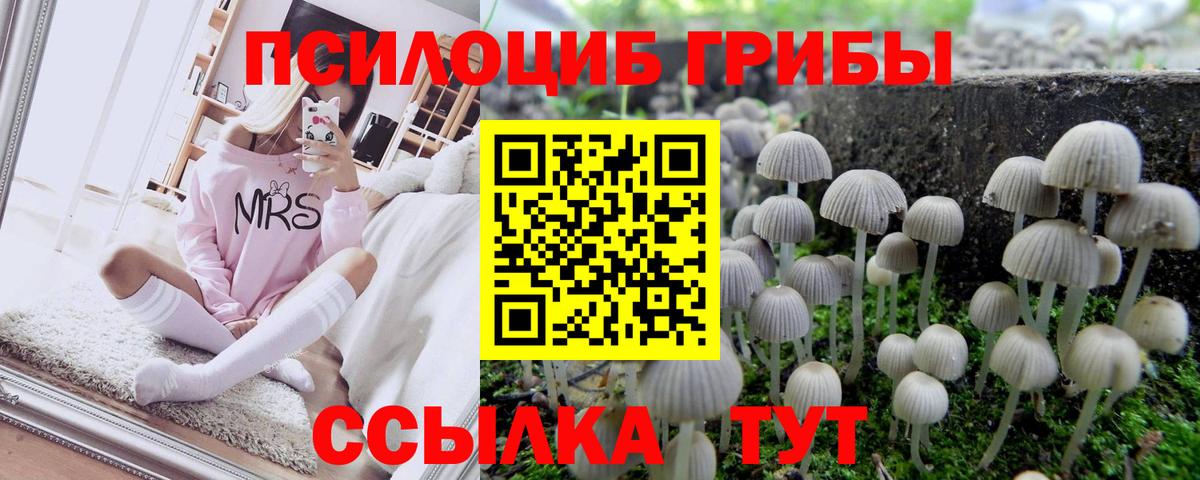 Галлюциногенные грибы Magic Shrooms  Вход с VPN  Полевской 
